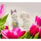kevinsgiftshoppe Ceramic Cute Easter Bunny Rabbit Couple Salt and Pepper Shakers Home Decor  Kitchen Decor Spring or Easter Decor
